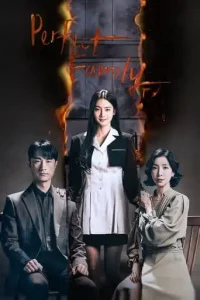 Perfect Family (2024 Series) Free Download