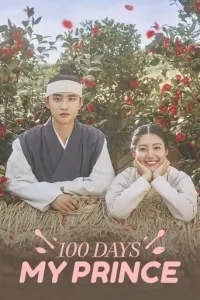 100 Days My Prince (2018 Series) Free Download