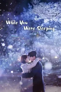 While You Were Sleeping (2017 Series) Free Download