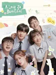A Love So Beautiful (2020 Series) Free Download