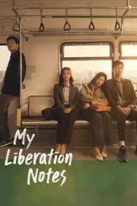My Liberation Notes (2022 Series)