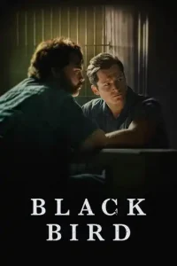 Black Bird (2022 Series) Free Download